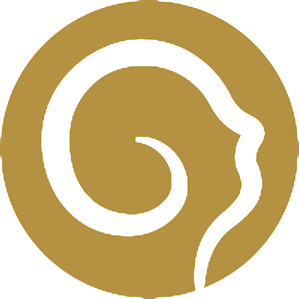 Small logo Face Vital